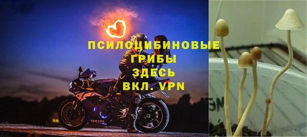мет Верхний Тагил