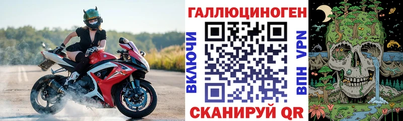 Купить  Валдай  Галлюциногенные грибы Psilocybine cubensis 